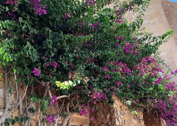 Panoramic Atalaya